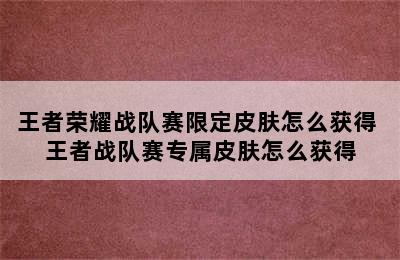 王者荣耀战队赛限定皮肤怎么获得 王者战队赛专属皮肤怎么获得